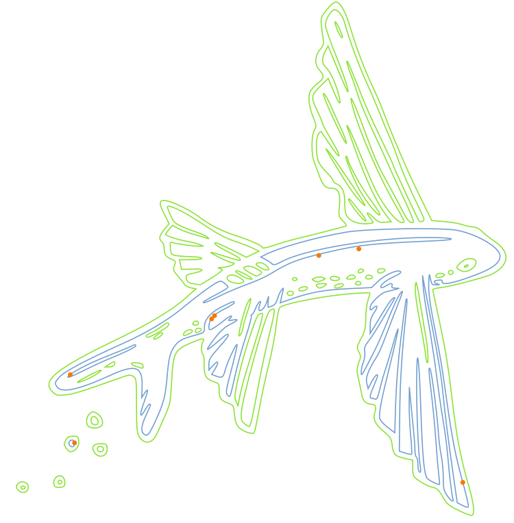 grafik.png