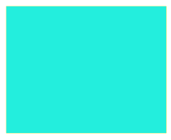 grafik.png